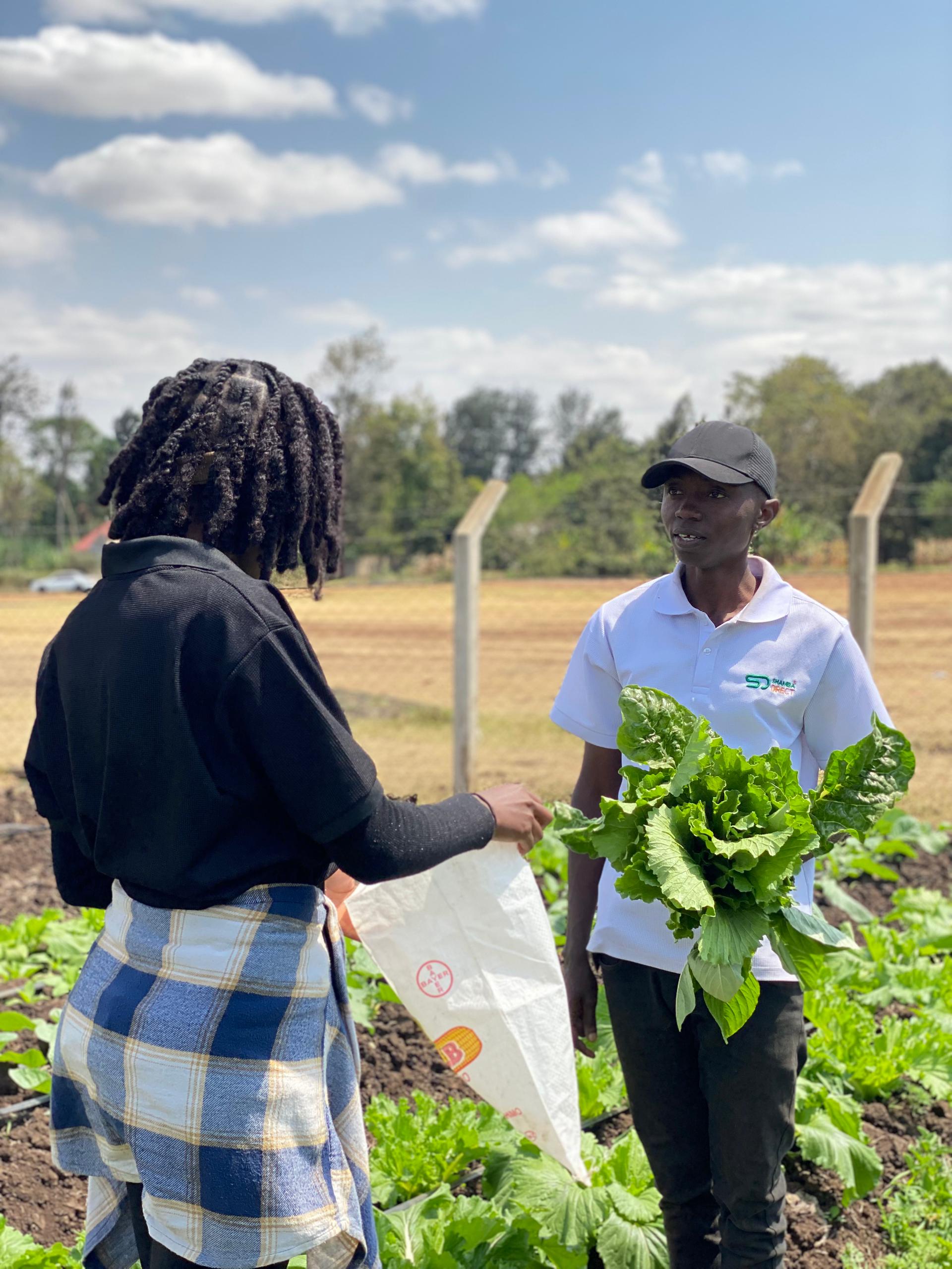 Smallholder Training Session